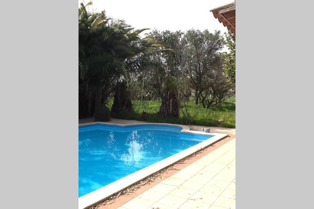 Loft Mansardato Con Giardino E Piscina In Villa Privata Loft With Garden And Swimming Pool In A Private Villa Sestu Exterior foto