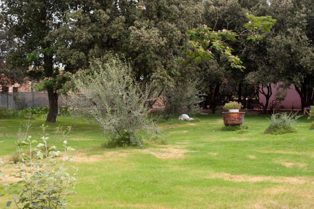 Loft Mansardato Con Giardino E Piscina In Villa Privata Loft With Garden And Swimming Pool In A Private Villa Sestu Exterior foto